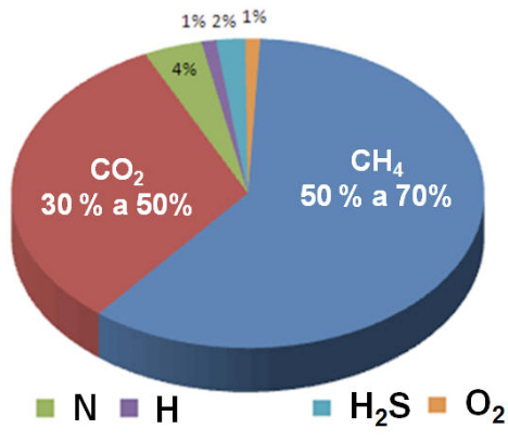 Biogas Chart 2